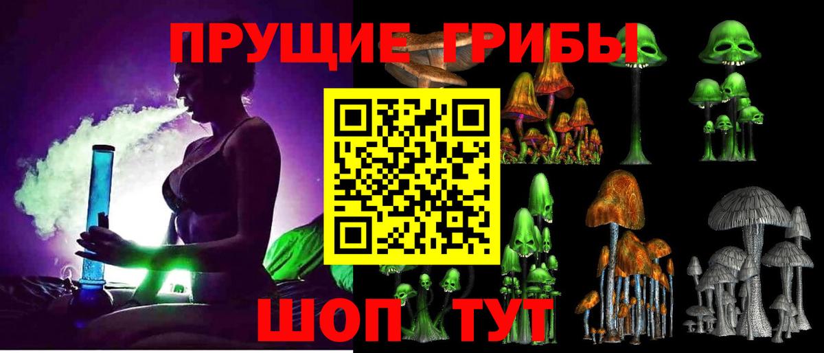 Псилоцибиновые грибы Psilocybine cubensis Алексин
