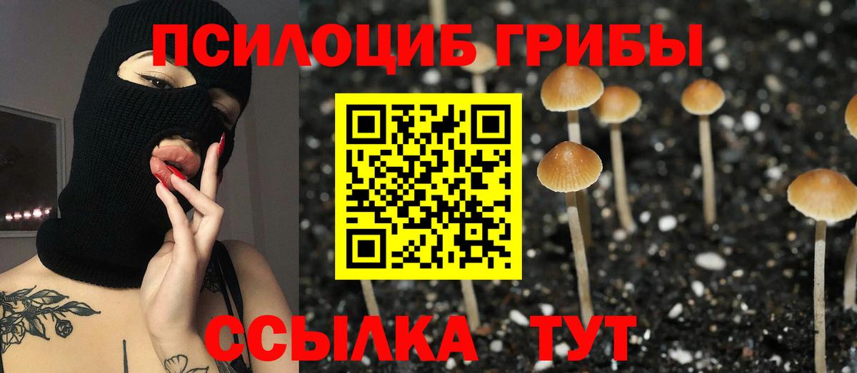 Псилоцибиновые грибы Psilocybine cubensis  Вход с VPN  Алексин  Псилоцибиновые грибы мицелий 